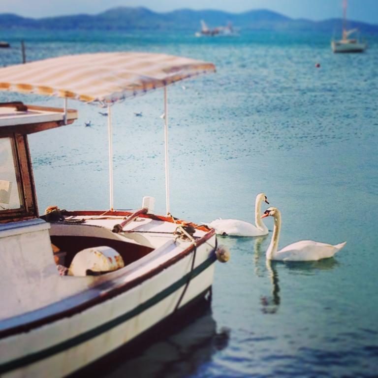 Villa Maresol ザダル エクステリア 写真